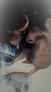 MM with Jack 08.20.17